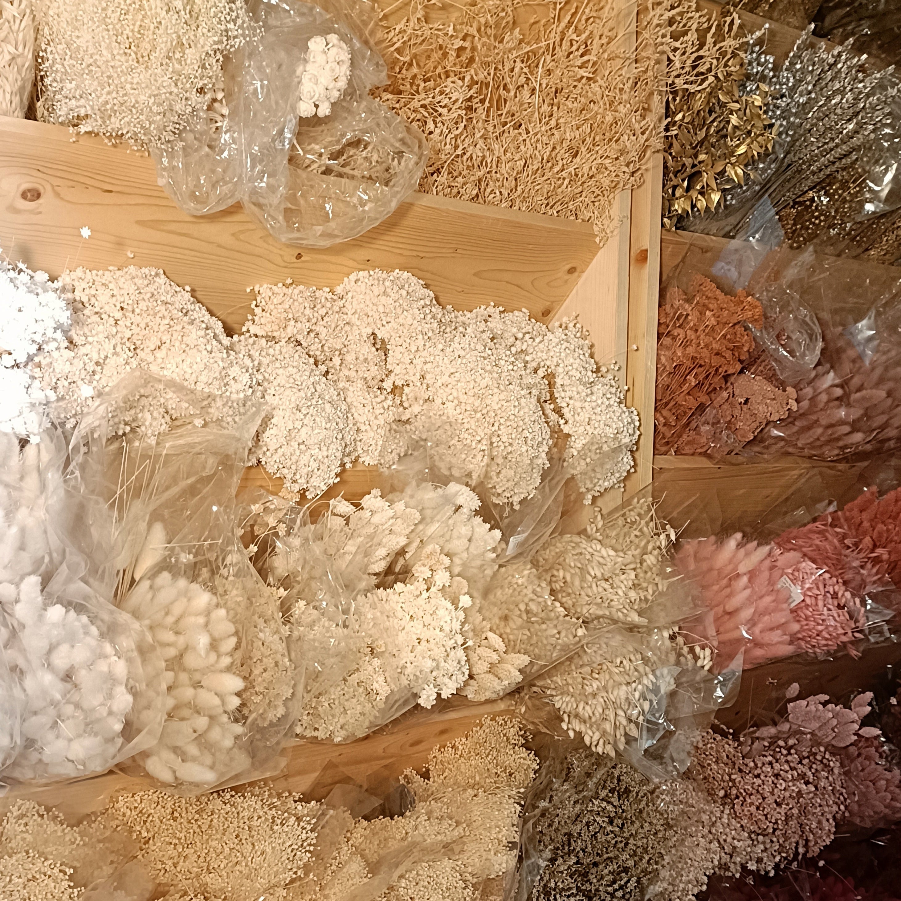 Fleurs séchées et stabilisées dans l'atelier.