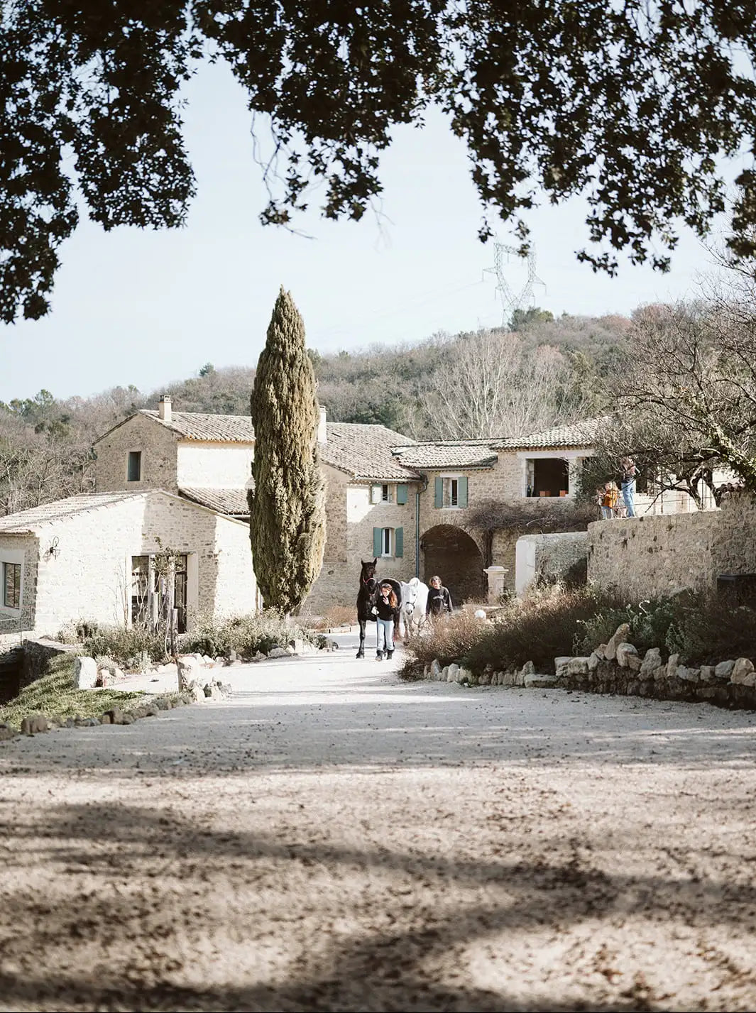 Image représentant un domaine dans la nature avec une maison en pierre