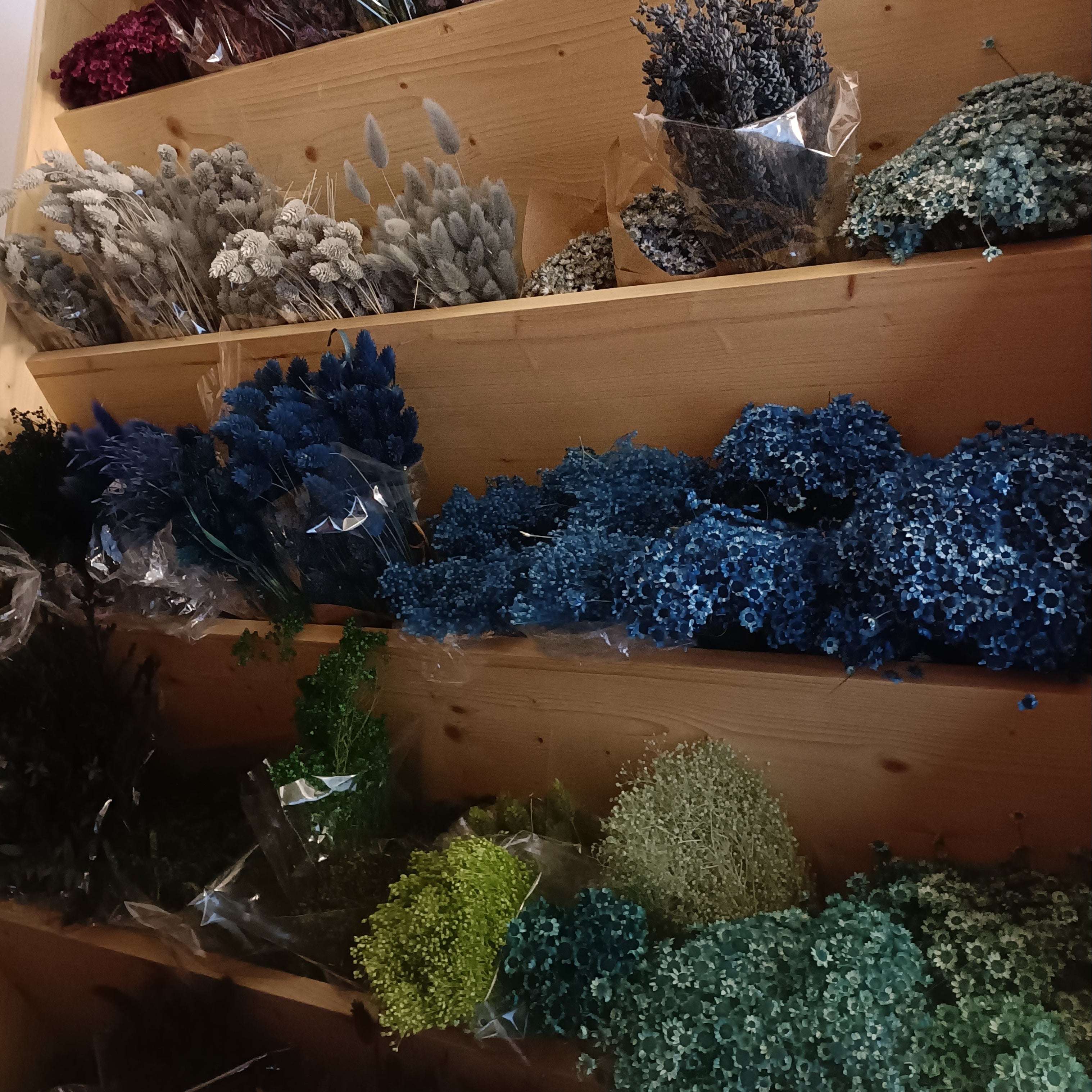 Fleurs séchées et stabilisées de différentes couleurs dans l'atelier.